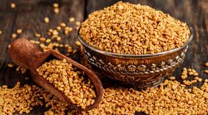حلبه حص